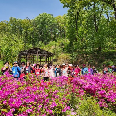 2024년 노인맞춤돌봄서비스 체험·여행 이미지